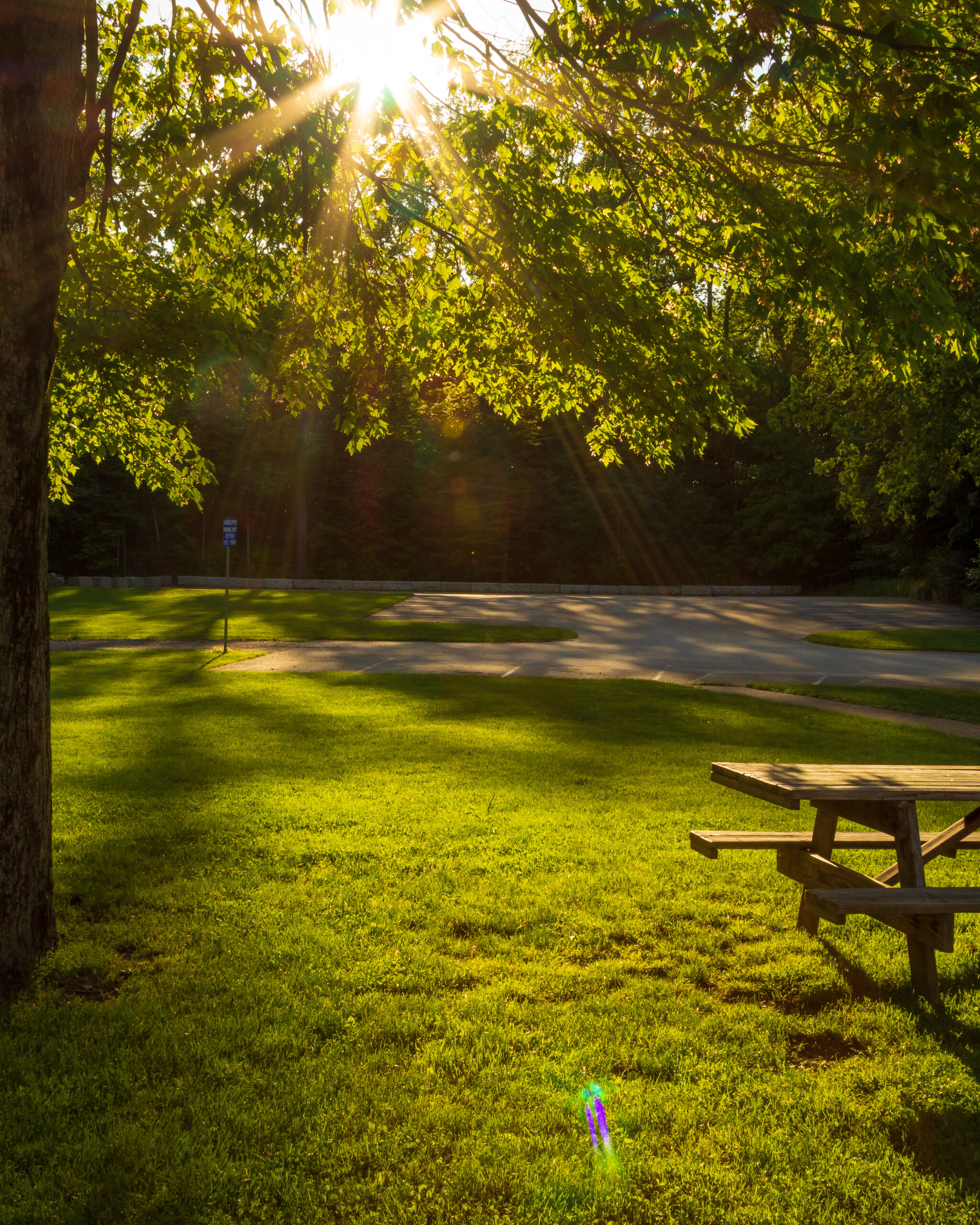 Outside picnic area at Palmer Arboretum