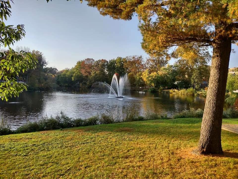 Image of park in the evening with threes and a lake with a fountain in the middle
