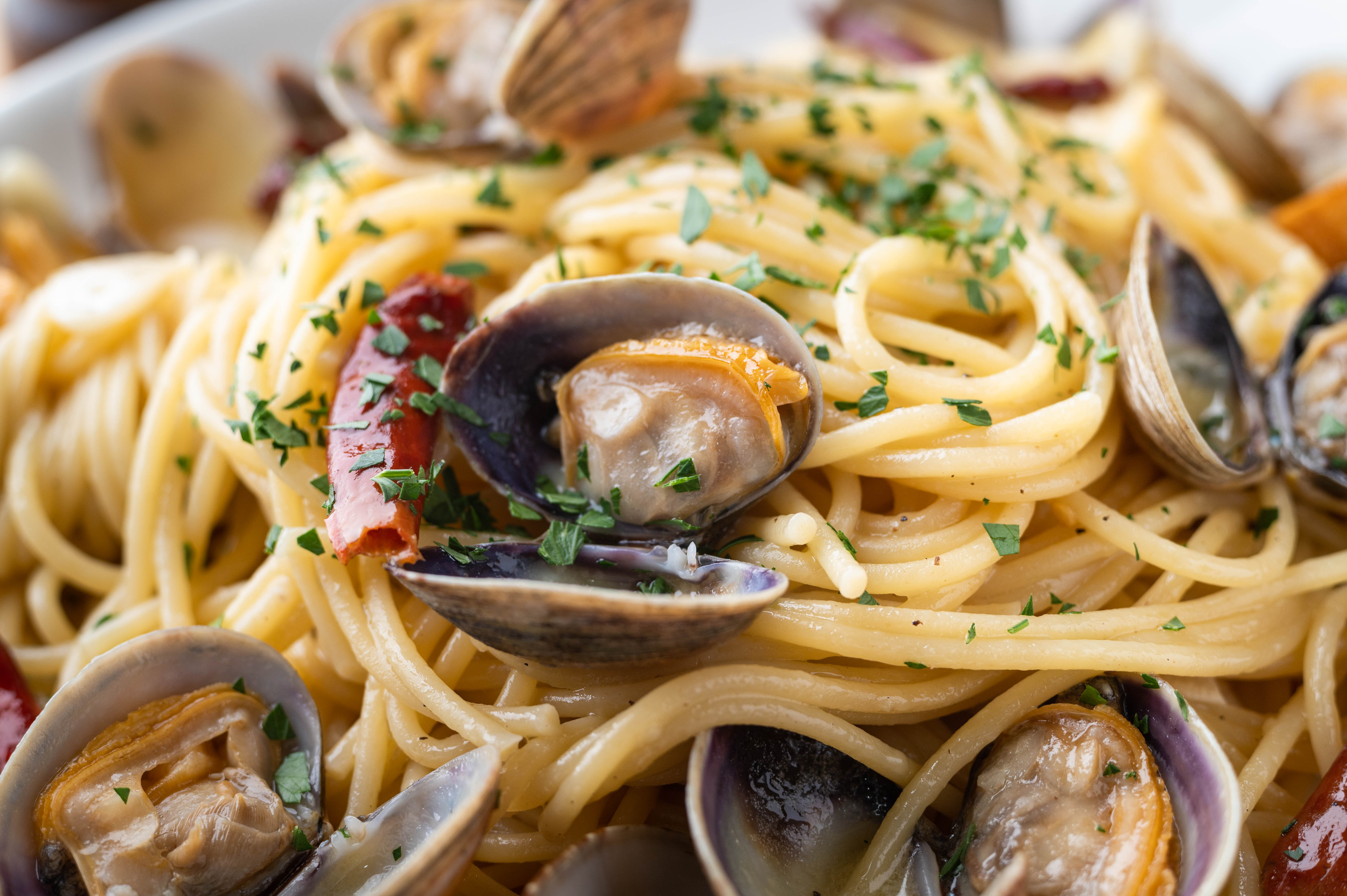 Pasta with clams from Clam Tavern, Clifton Heights, PA.