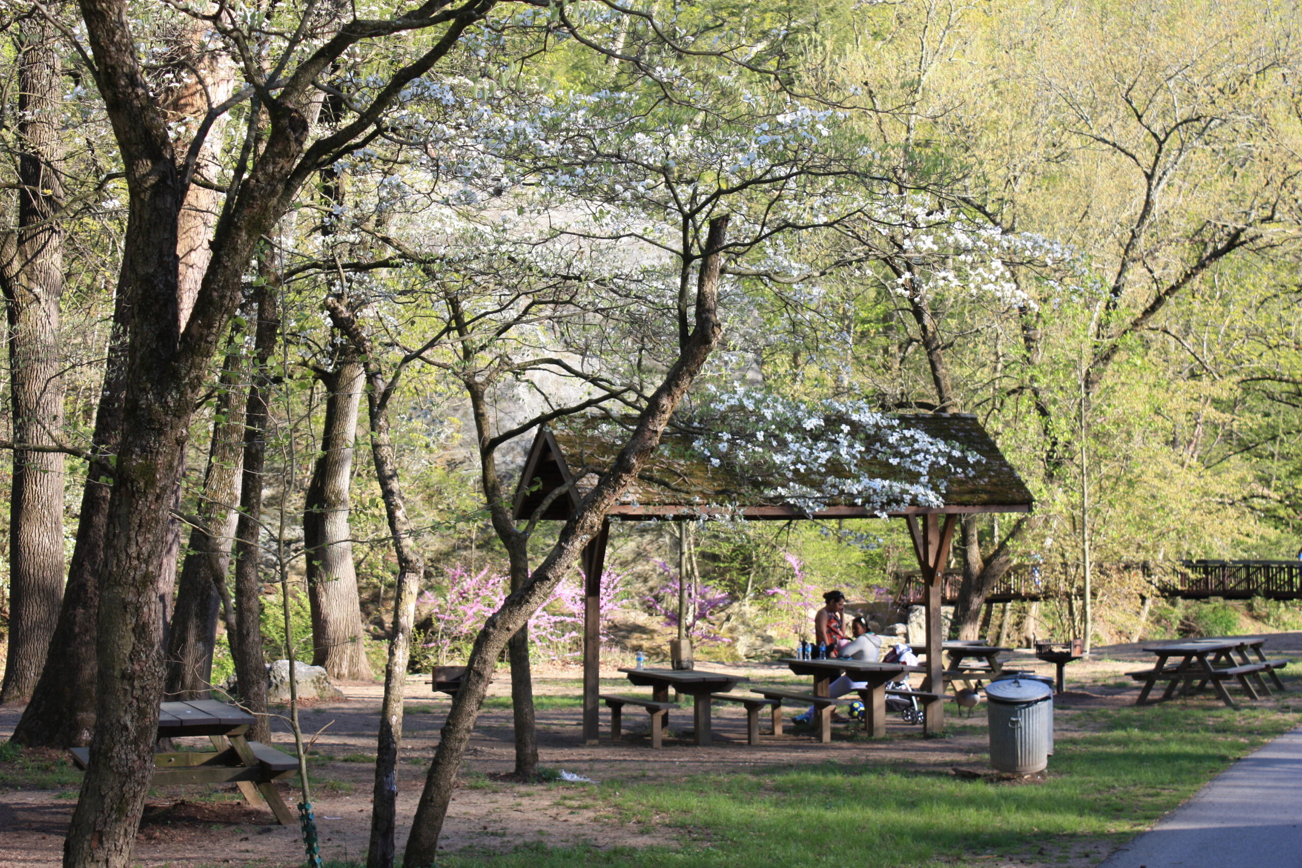 Spring time picnic in Loimer park.