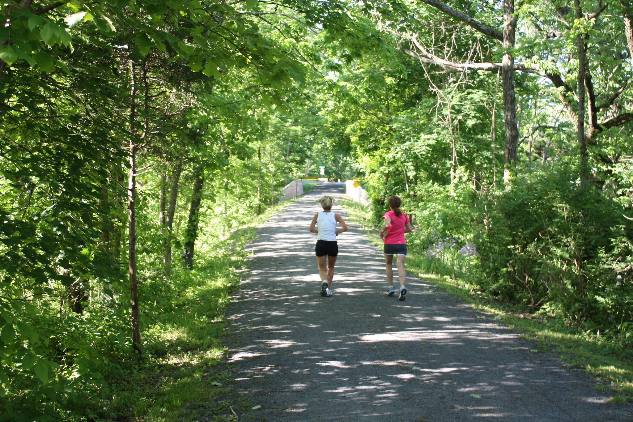 8868207713_8916864afa_k Two women running on the Perkiomen Trail in the morning