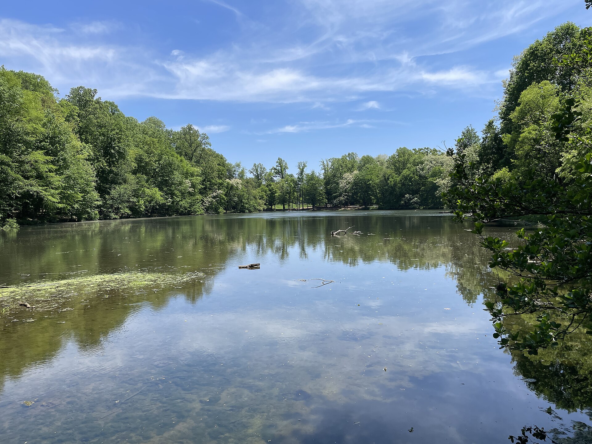 Scenic pond in Alverthorpe Park surrounded by trees and green space in Abington Township, Pennsylvania.
