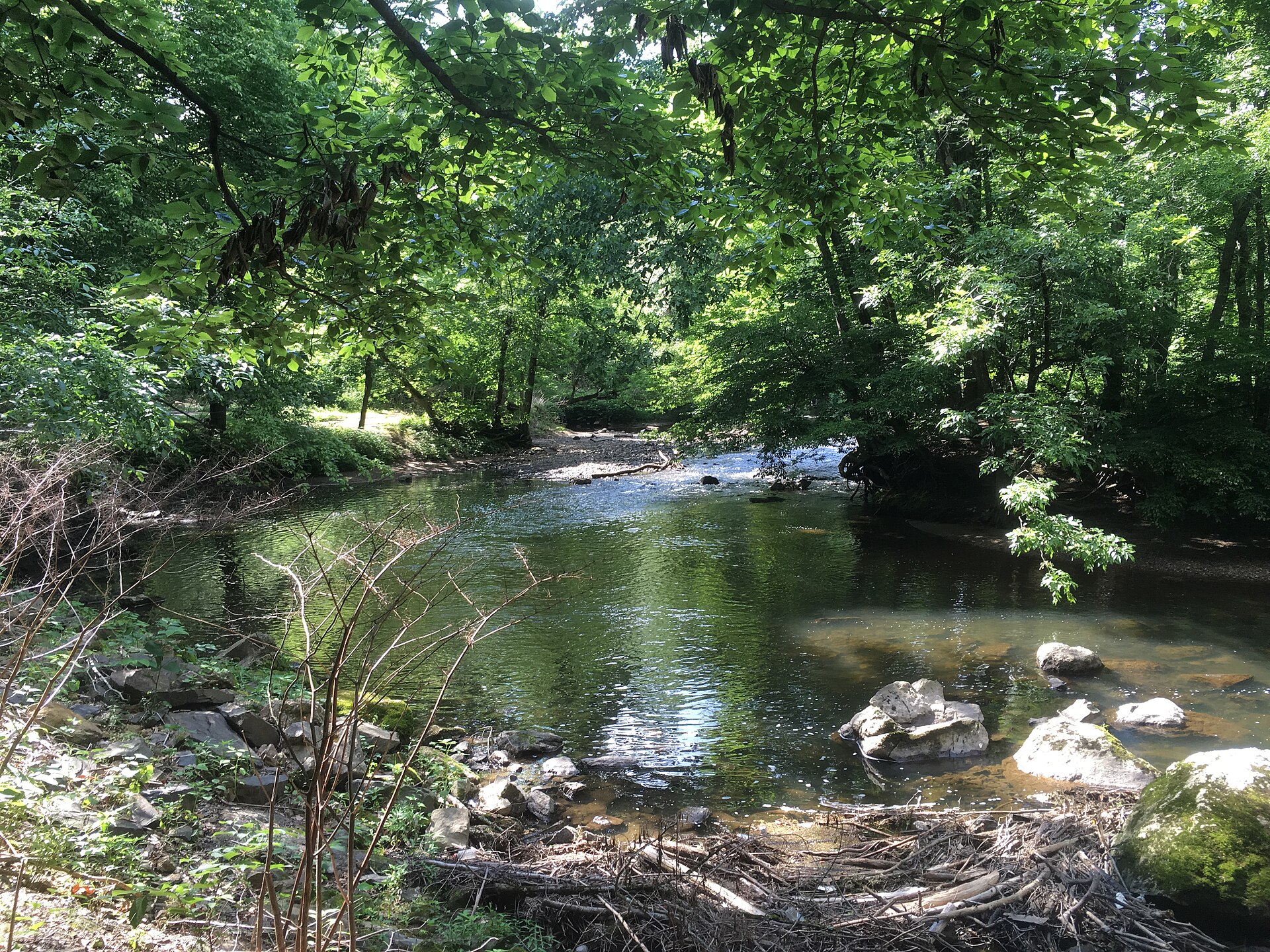 Pennypack_Creek_from_Pennypack_Trail_in_Pennypack_Park Pennypack Creek viewed from the Pennypack Trail in Pennypack Park, Philadelphia, Pennsylvania